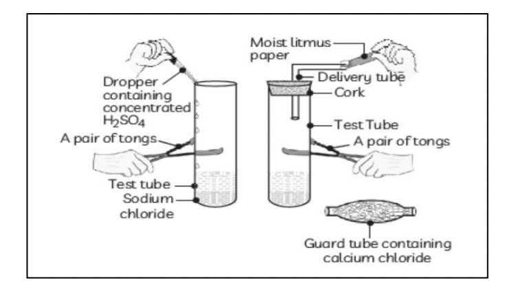 Science Class 10 Sample Paper