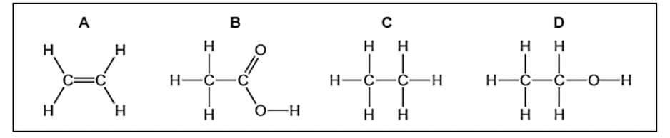 Class 10 Science Sample Paper 2023