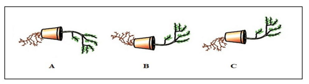 Class 10 Science Sample Paper 2023