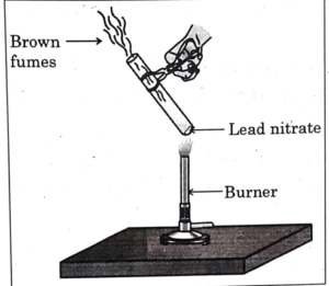 CBSE Class 10 Science Answer Key 2023, Question Paper Solutions_4.1