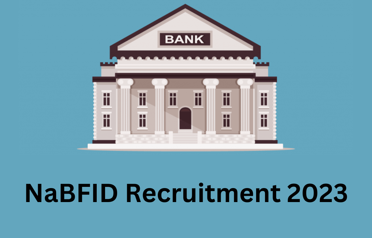 NaBFID Recruitment 2023