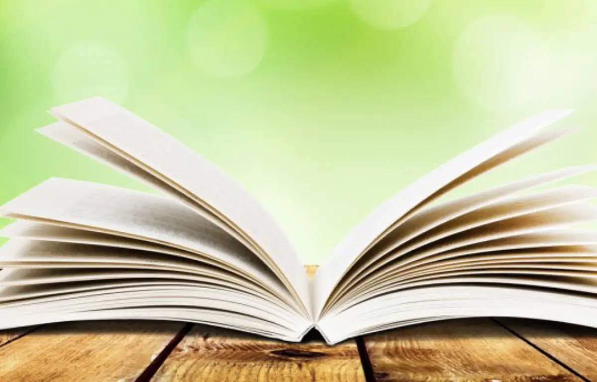 Central Bank of India ZBO Syllabus