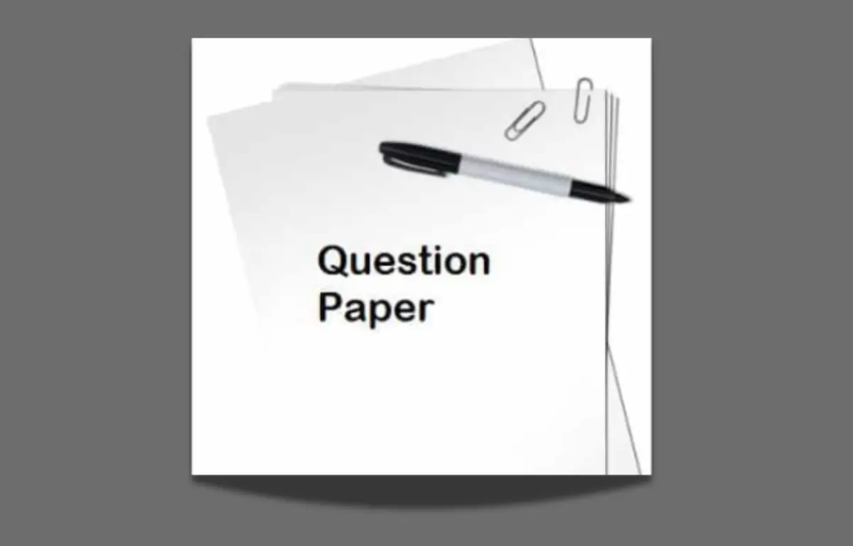 RSMSSB VDO Previous Year Question Papers