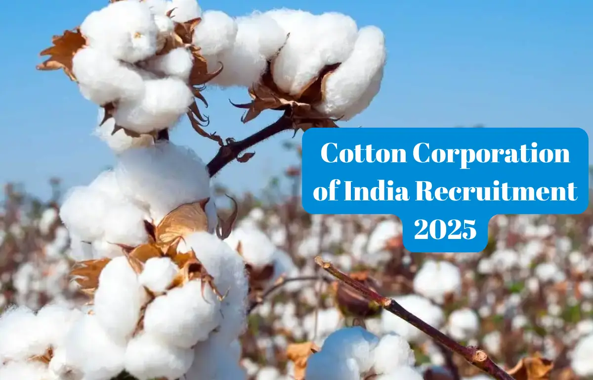 Cotton Corporation of India Recruitment 2025