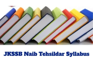 JKSSB Naib Tehsildar Syllabus