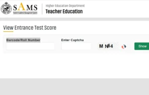 Odisha BEd Result 2025