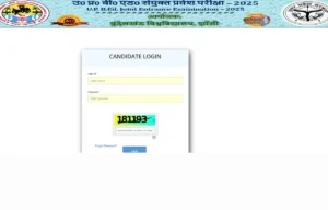UP BEd Result 2025