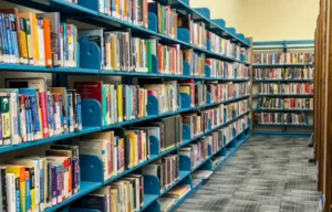 Bihar Librarian Syllabus