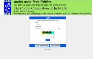 CCI Answer Key 2025