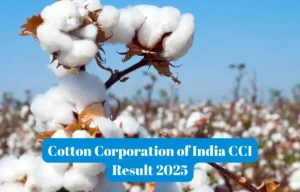 CCI Result 2025