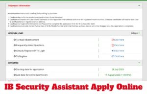 ib security assistant apply online
