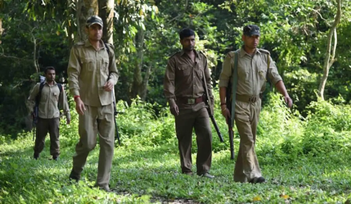 DSSSB Forest Guard Recruitment 2025