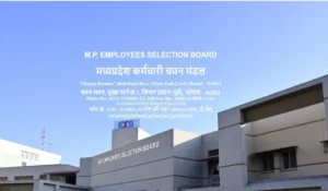 MP TET Varg 3 Result 2025