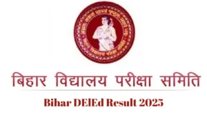 bihar deled result 2025