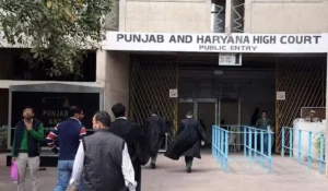 punjab and haryana high court peon result