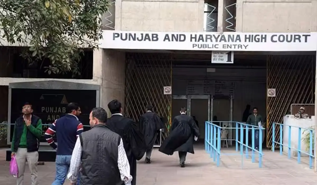 punjab and haryana high court peon result