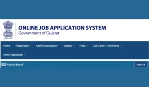 GSSSB Fireman Cum Driver Recruitment 2025