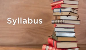 punjab master cadre syllabus