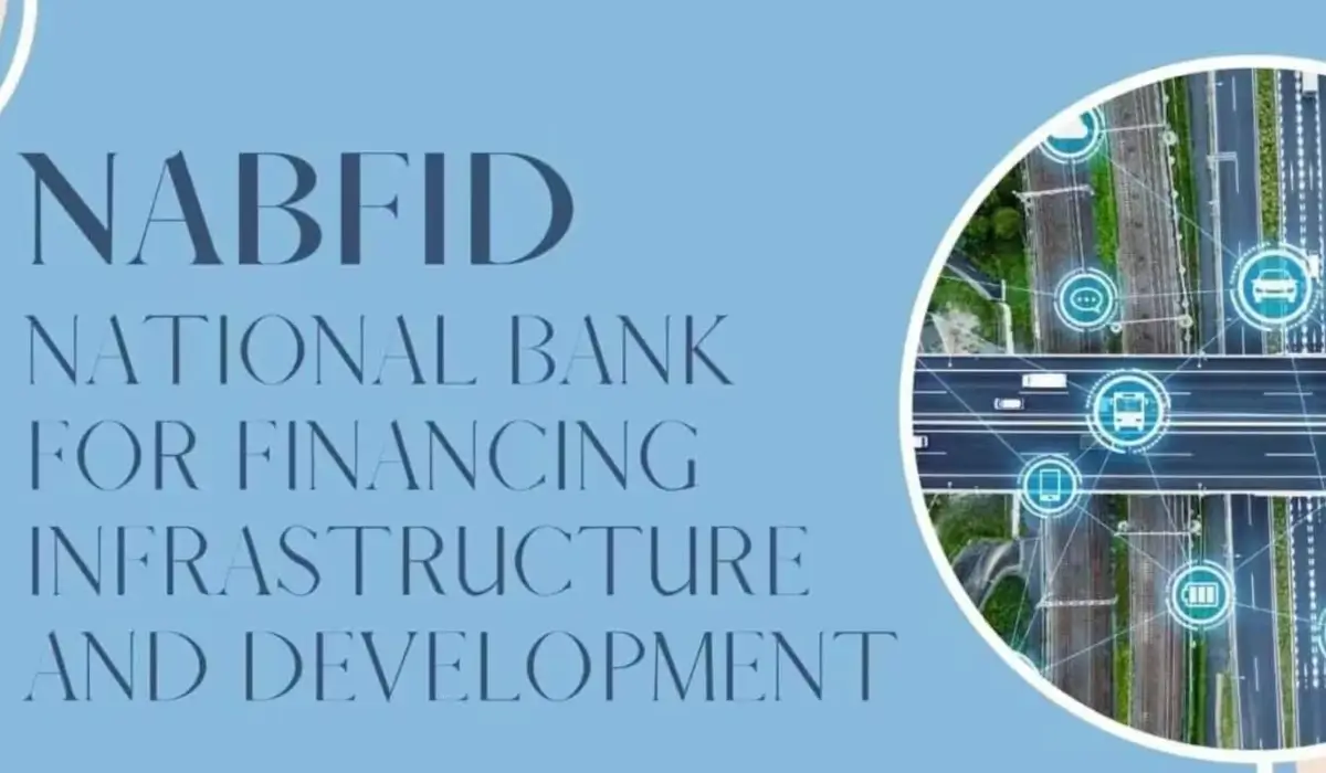 NaBFID Senior Analyst Receruitment