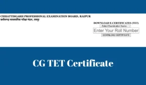 CG TET Certificate