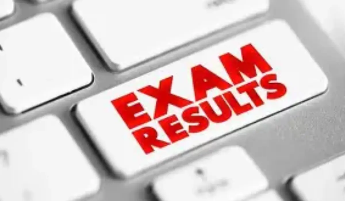 DDU Result 2026