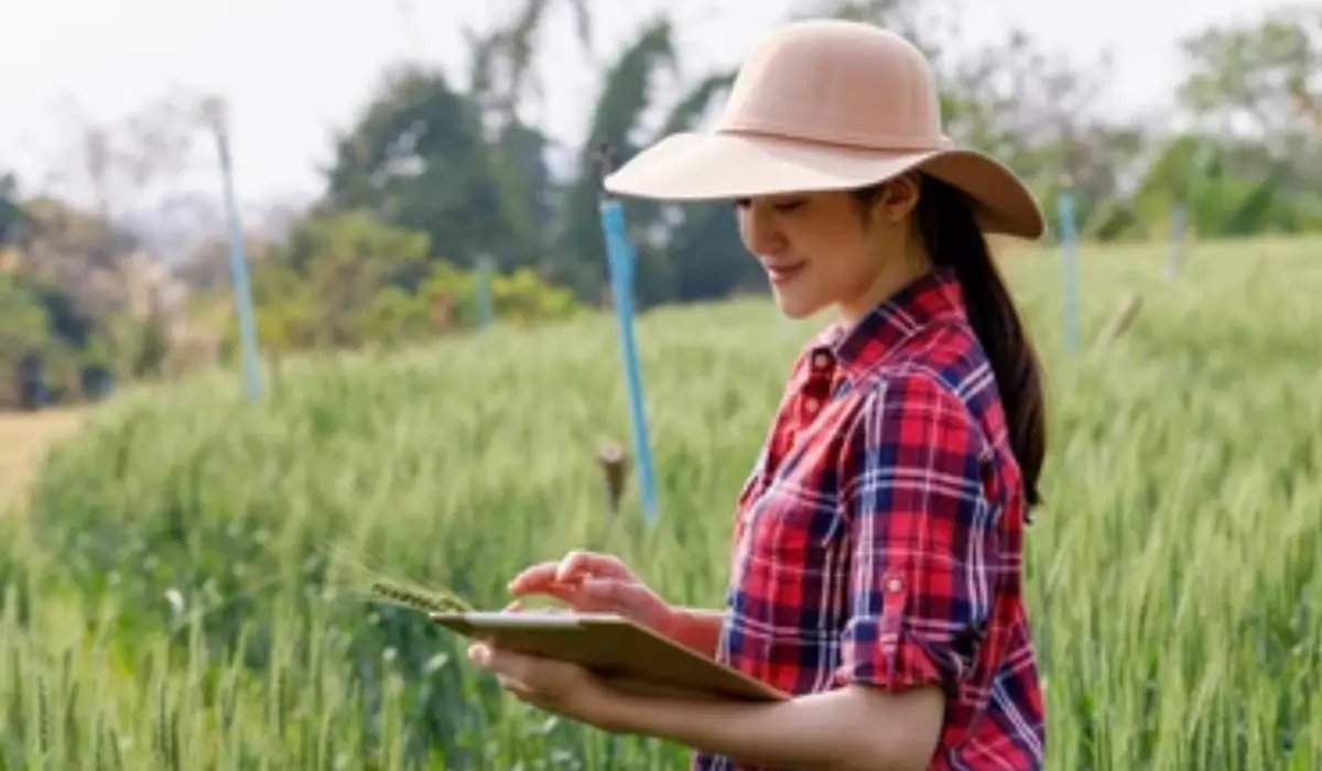 IBPS AFO Recruitment