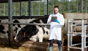 PSSSB Veterinary Inspector