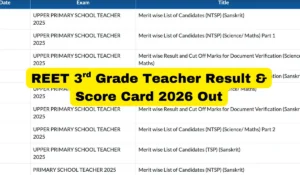 REET 3rd Grade Teacher Result and Score Card 2026 Out at rssb.rajasthan.gov.in, Subject-wise PDFs