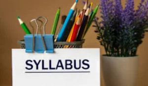 DSSSB TGT Computer Science Syllabus