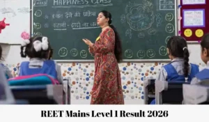 reet mains level 1 result