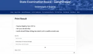 Gujarat TAT HS Result