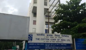 CCI Recruitment