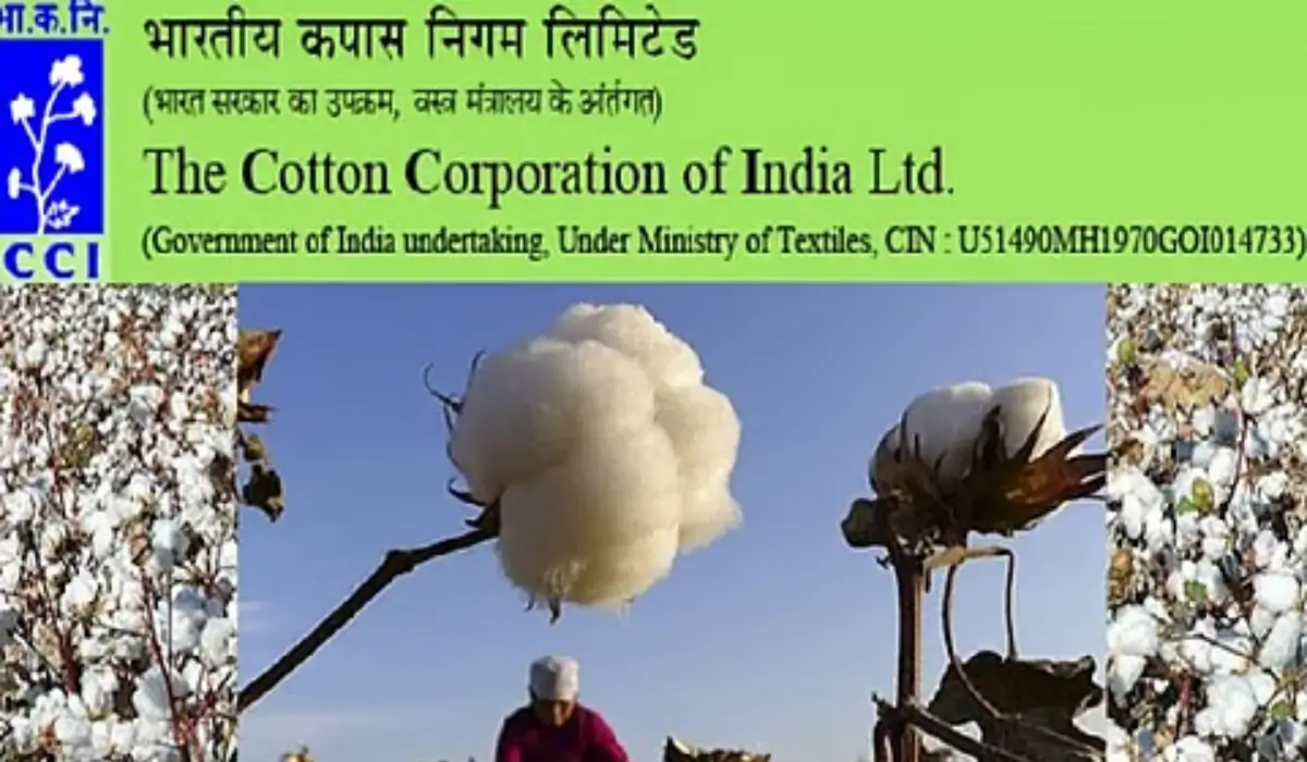 cci apply online