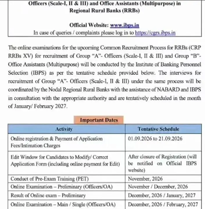 IBPS RRB Short Notification 2026 Out for Clerk, PO, Officer Scale 2 and 3 Posts_3.1