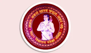 Bihar STET Dummy Admit Card 2026