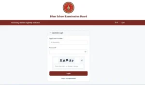 Bihar STET Admit Card