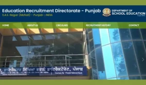 Punjab Lecturer Result 2026