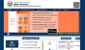 UPSSSC Stenographer Result 2026
