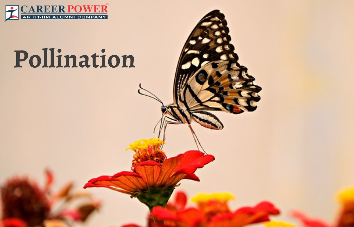 Pollination