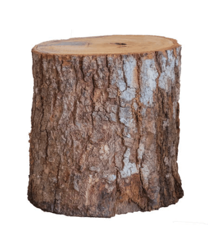 Parts of a Tree, Names and Their Functions_5.1