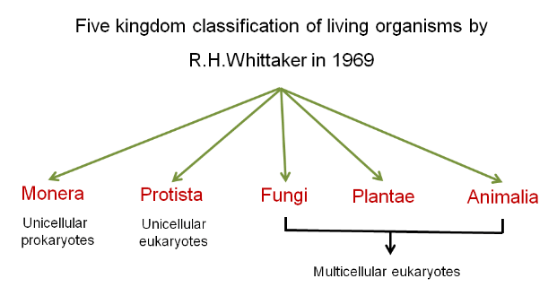Five Kingdom Classification, Characteristics and Advantages_4.1