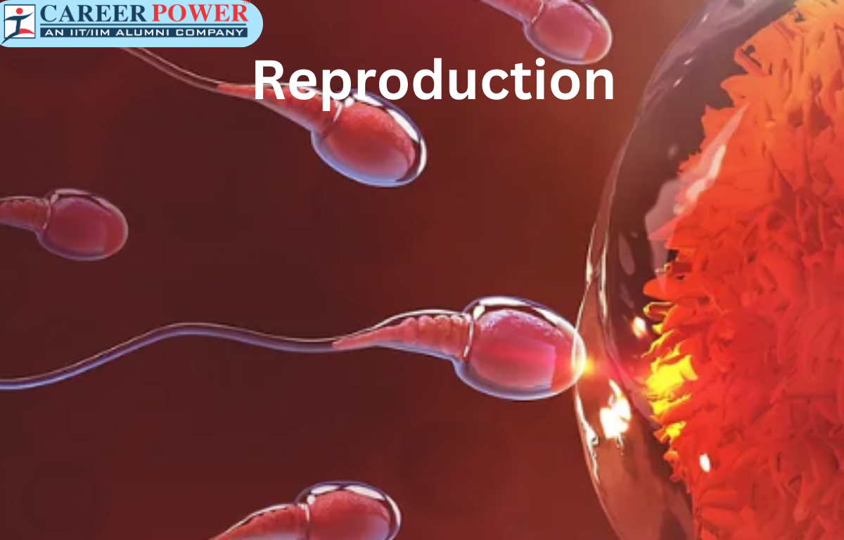 Reproduction