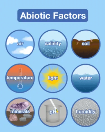 Difference Between Abiotic and Biotic_5.1