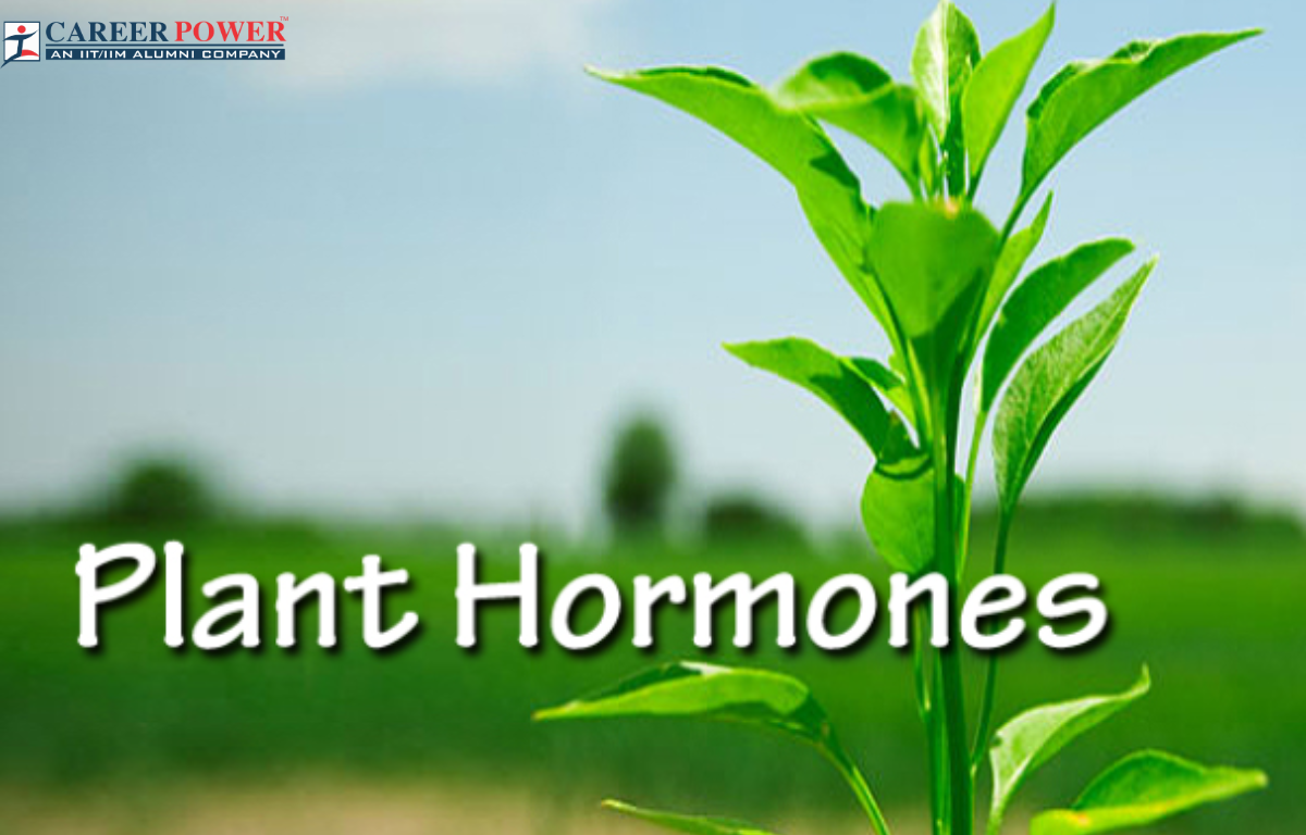 Plant Hormones