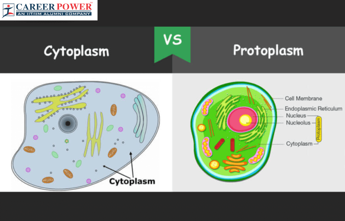difference between cytoplasm and protoplasm