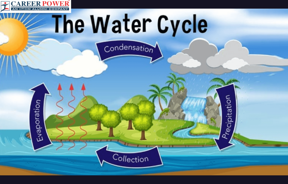 precipitation water cycle