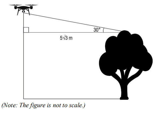 CBSE Class 10 Maths Model Practice Paper 2024 with Solutions_39.1