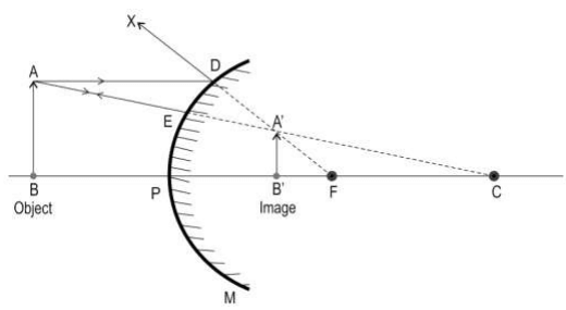 CBSE Class 10 Science Additional Practice Questions Paper 2023-24_8.1