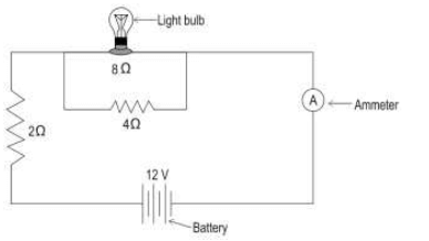 CBSE Class 10 Science Additional Practice Questions Paper 2023-24_9.1