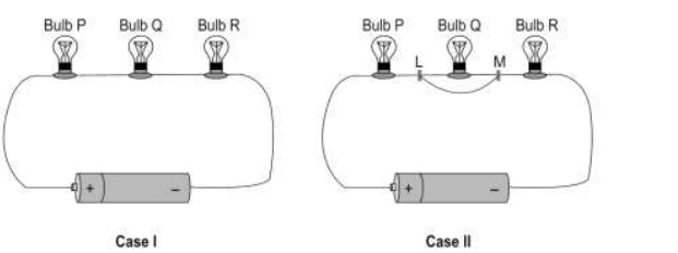 CBSE Class 10 Science Additional Practice Questions Paper 2023-24_14.1